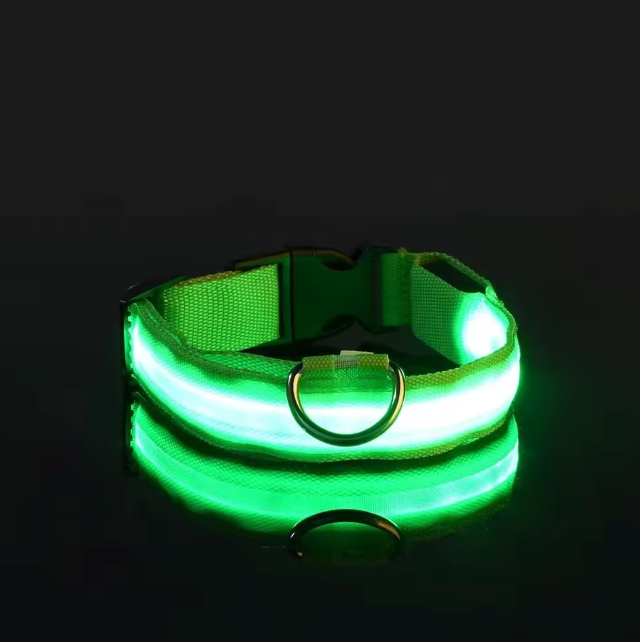 LED Dog Collar