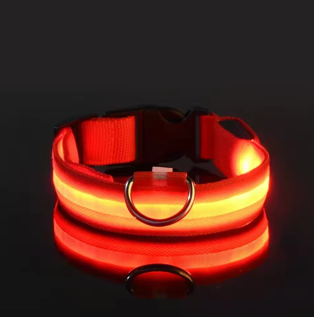 LED Dog Collar