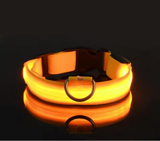 LED Dog Collar
